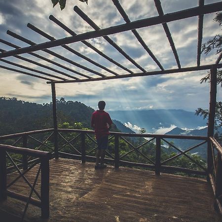 After The Rains - Rainforest Lodge Meppadi Luaran gambar