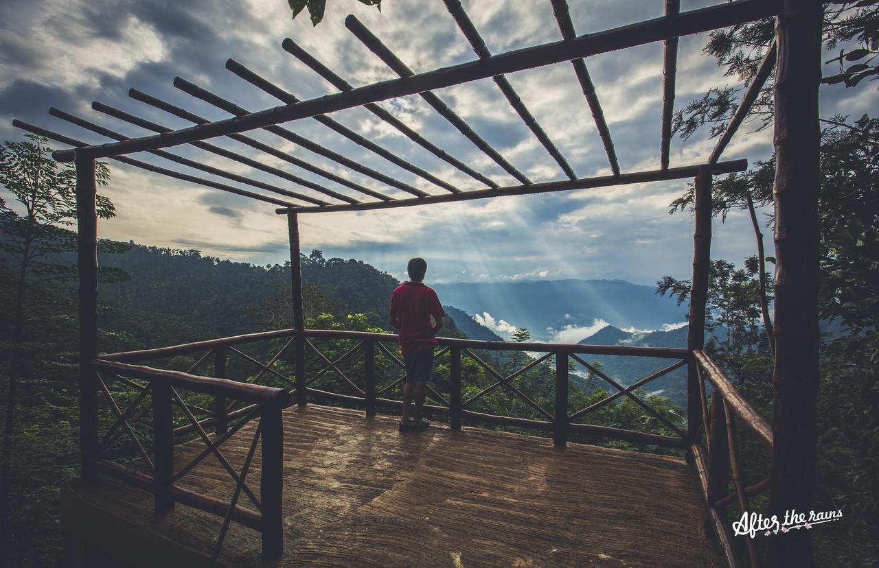 After The Rains - Rainforest Lodge Meppadi Luaran gambar