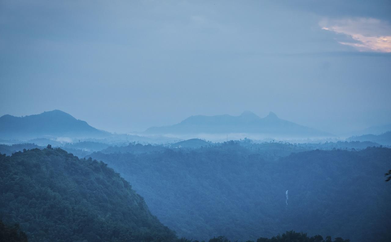 After The Rains - Rainforest Lodge Meppadi Luaran gambar