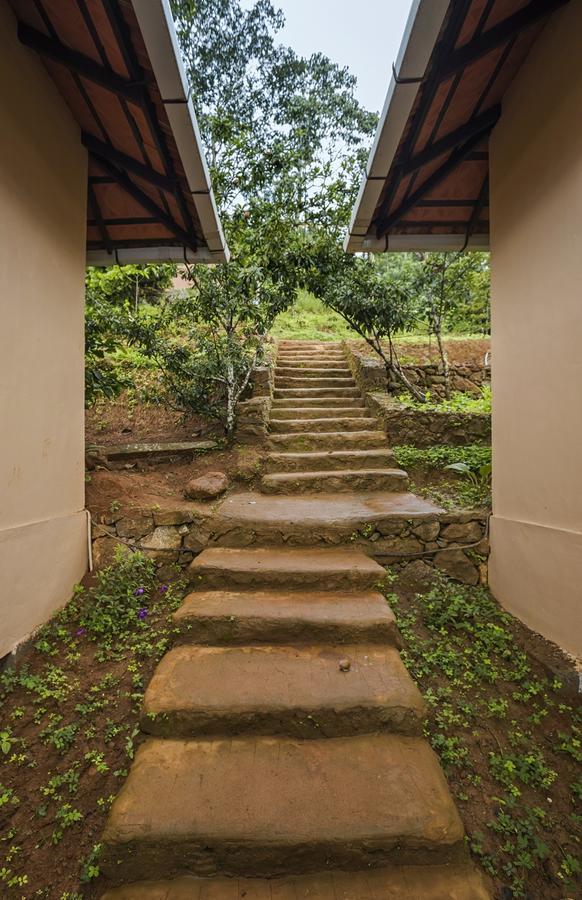 After The Rains - Rainforest Lodge Meppadi Luaran gambar